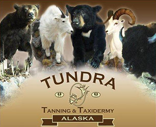 Tundra Tanning & Taxidermy
